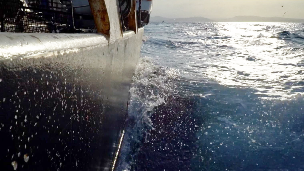 shipboard fishing boat in navigation - festival selections