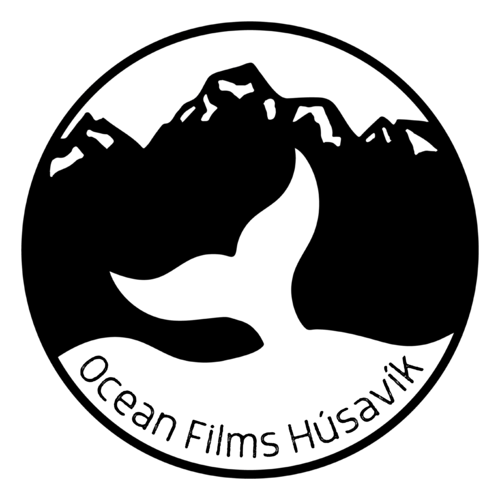 Ocean Films logo