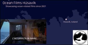 Read more about the article Report of Ocean Films Húsavík